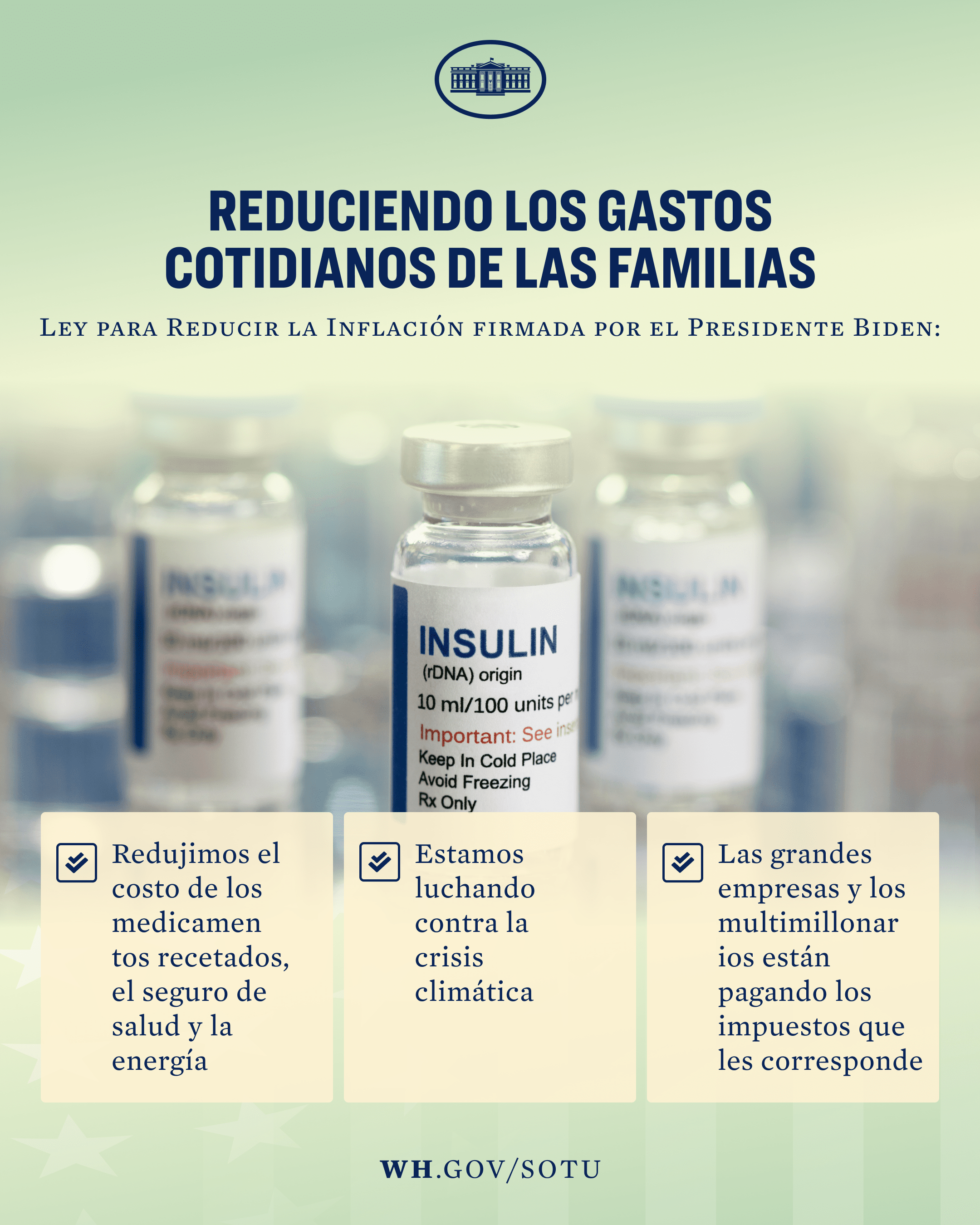 Reduciendo los costos diarios de las familias a través de la Ley para Reducirla Inflación del presidente Biden