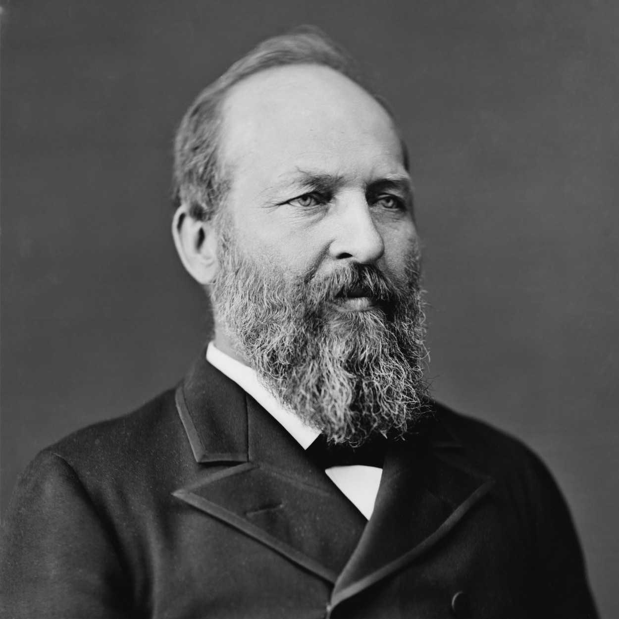 Portrait of James Garfield, the 20th President of the United States