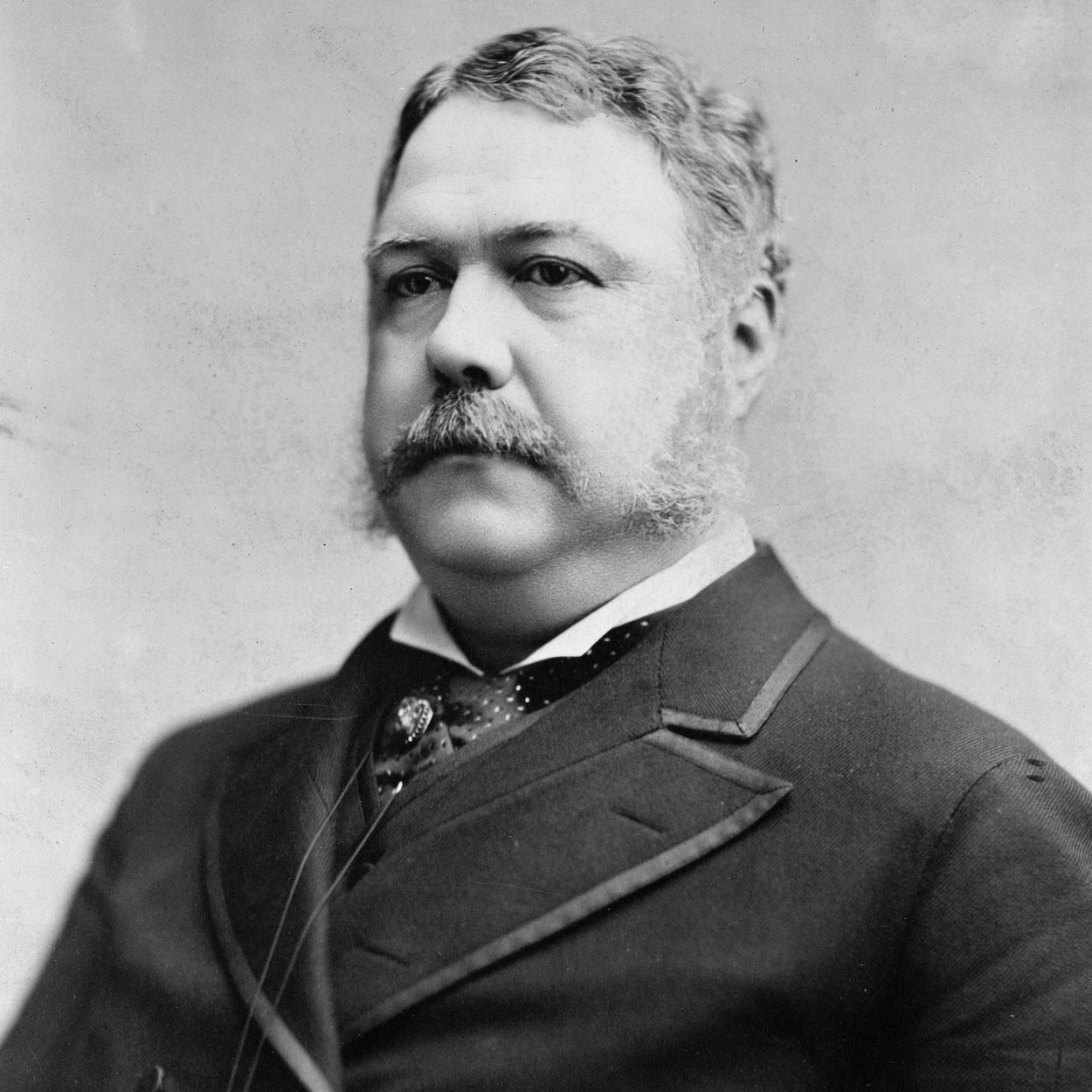 Portrait of Chester A. Arthur the 21st President of the United States