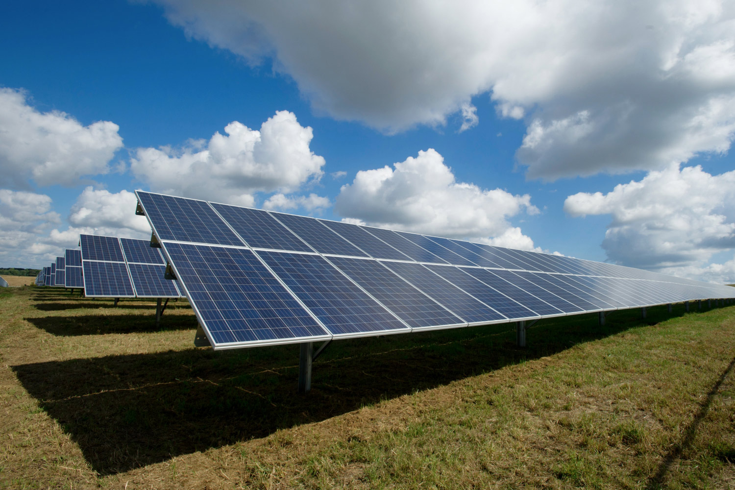 Solar panels in a field